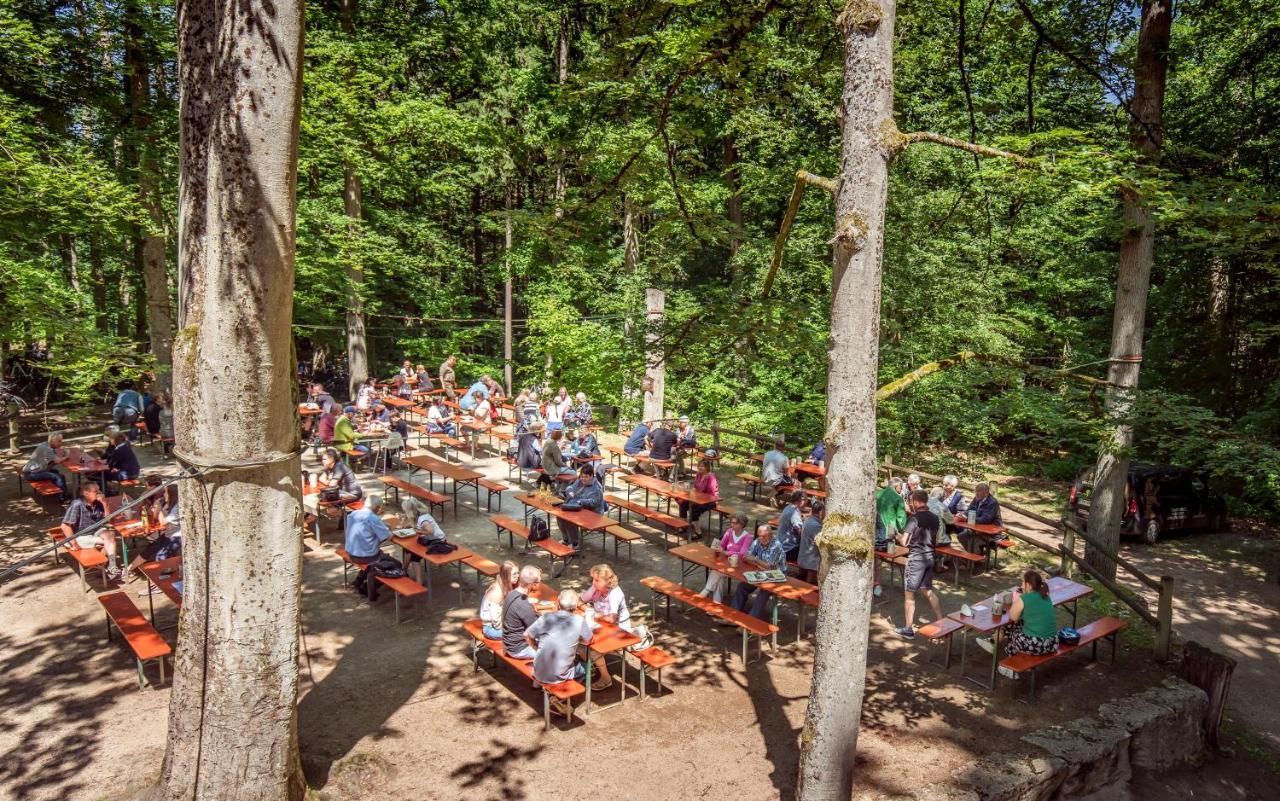 Brauereigasthof Zum Loewenbraeu Adelsdorf Eksteriør bilde